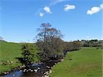 Croasdale Brook near Slaidburn, Lancashire in the Forest of Bowland Area of Outstanding Natural Beauty