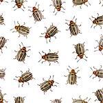 Seamless texture - Colorado beetle pests on a white background