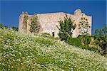 Slunj old fortress ruin in green nature, Croatia
