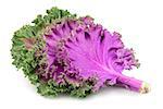 Red decorative cabbage on the white