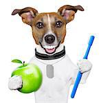 dog with big white teeth with an apple and a toothbrush