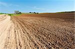 Dirt Road between Plowed Fields in Israel, Spring