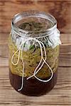 Jar with young spruce sprouts and cane sugar - making spruce syrup, alternative medicine for cough, cold or flu