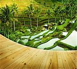 Wooden platform beside terrace rice fields in morning sunrise, Ubud, Bali, Indonesia