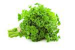 Bunch of fresh Parsley /  isolated on white background
