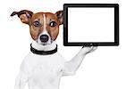 dog holding a  blank tablet pc on paw