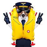 pilot captain dog wearing  emergency life vest with peace fingers