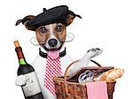 french dog with red wine and Picnic basket