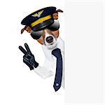pilot captain dog behind a banner with peace fingers