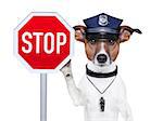 police dog with a street stop sign