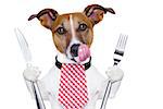 hungry dog with knife and fork  for dinner