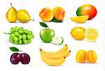 Big group of different fruit. Vector.