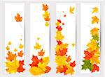 Set of autumn banners with colorful leaves. Back to school. Vector illustration.