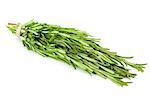 Bunch of fresh Rosemary herb /  isolated on white background