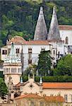 Palácio Nacional de Sintra / Royal Palace / Portugal / Europe / vertical