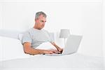 Grey haired man using laptop in bed in bedroom at home