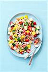 Overhead View of Bread Salad with White Beans, Tomatoes, Peppers and Cucumber, Blue Background, Studio Shot