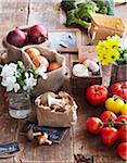 Farmers Market Vegetables for Sale, Toronto, Ontario, Canada