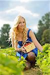 Young woman in a strawberryfield with a basket full of strawberries, Bavaria, Germany