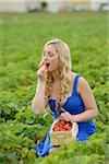 Young woman in a strawberryfield eating a strawberry, Bavaria, Germany