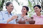 Group of mature women drinking Chinese tea in the park