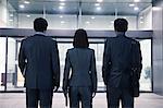 Three business people standing in a row, rear view