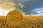 Straw rolls on stubblefield and rain clouds, Hesse, Germany, Europe