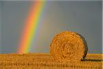 Straw roll on stubblefield with rainbow, Hesse, Germany, Europe