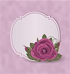 Illustration vintage card with pink roses - vector