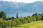 Houses by Lake Geneva in Vevey, Switzerland