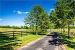 Road between horse farms in rural Kentucky