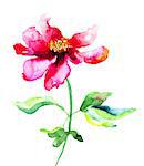 Summer flower, watercolor illustration