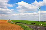 Wind turbine on spring field