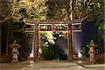 October 30 The ishidori is a stone tori gate in Nikko, Japan.