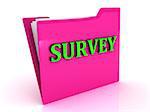 SURVEY bright green letters on a pink folder with papers and documents on a white background