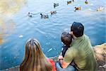 Mixed Race Mother and Father with Son at the Park Duck Pond.