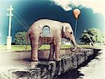 elephant as a house on the cracked road  concept ( photo and hand-drawing elements combined).