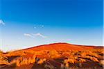 Red Dune and moon in blue sky, Sossusvlei, Namib Desert, Namib Naukluft Park, Namibia, Africa