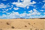 Namib Desert, Namibia, Africa