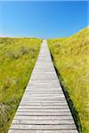 Wooden Walkway through Dunes, Summer, Norddorf, Amrum, Schleswig-Holstein, Germany