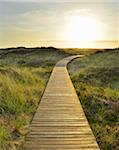 Wooden Walkway through Dunes with Sun, Summer, Norddorf, Amrum, Schleswig-Holstein, Germany