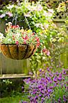 Hanging flower basket in garden