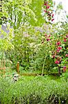 View of backyard garden