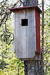 Bird house on tree