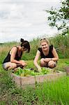 Women in garden picking salad