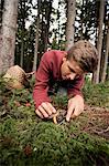 Teenage boy picking mushrooms, Bavaria, Germany, Europe