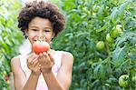 Girl picking fresh tomatoes