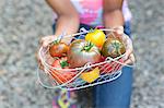 Girl holding basket of ripe tomatoes, cropped image