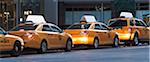 Panoramic of yellow taxis in a row, New York City, USA