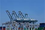 Shipping cranes at the Port of Los Angeles, California, USA